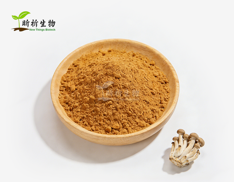 Oyster Mushroom Extract